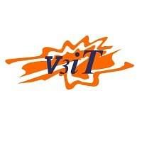 V3iT Consulting